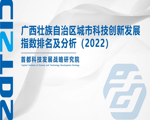 美女超鸡巴视频网站【成果发布】广西壮族自治区城市科技创新发展指数排名及分析（2022）